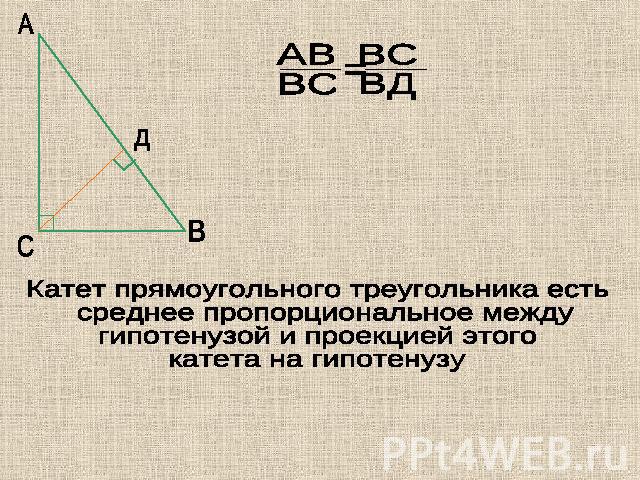 Катет прямоугольного треугольника есть среднее пропорциональное междугипотенузой и проекцией этого катета на гипотенузу