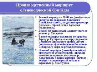 Производственный маршрут оленеводческой бригады Зимний маршрут – 70-80 км (ноябр
