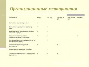 Организационные мероприятия