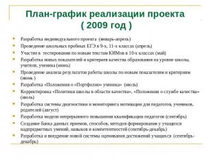 План-график реализации проекта ( 2009 год ) Разработка индивидуального проекта (