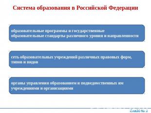Система образования в Российской Федерации образовательные программы и государст