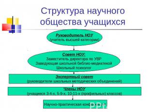 Структура научного общества учащихся Руководитель НОУ(учитель высшей категории)С