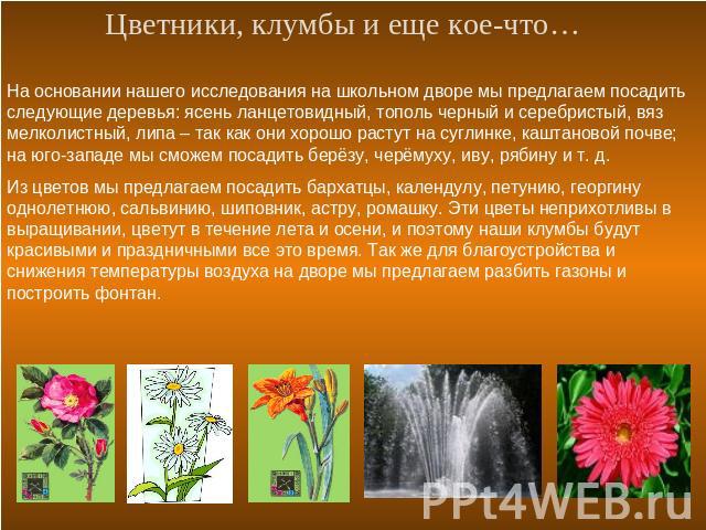 Цветники, клумбы и еще кое-что… На основании нашего исследования на школьном дворе мы предлагаем посадить следующие деревья: ясень ланцетовидный, тополь черный и серебристый, вяз мелколистный, липа – так как они хорошо растут на суглинке, каштановой…