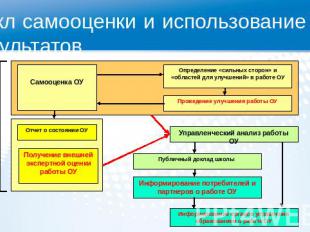 Цикл самооценки и использование её результатов