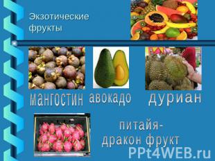Экзотические фрукты мангостинавокадодуриан питайя-дракон фрукт