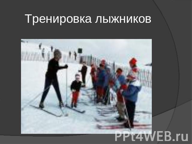 Тренировка лыжников