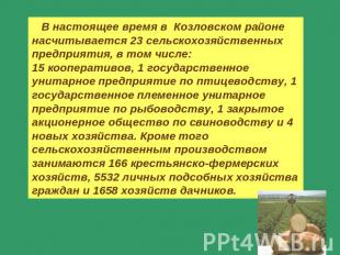 В настоящее время в Козловском районе насчитывается 23 сельскохозяйственных пред