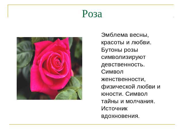 Роза Эмблема весны, красоты и любви. Бутоны розы символизируют девственность. Символ женственности, физической любви и юности. Символ тайны и молчания. Источник вдохновения.
