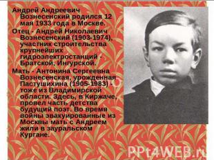 Андрей Андреевич Вознесенский родился 12 мая 1933 года в Москве. Отец - Андрей Н