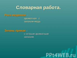 Словарная работа. Роса медвяная – ароматная с запахом меда.Зелень пряная – с ост