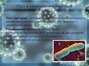Рост и размножение бактерийРост бактерий – упорядоченное увеличение размеров и к