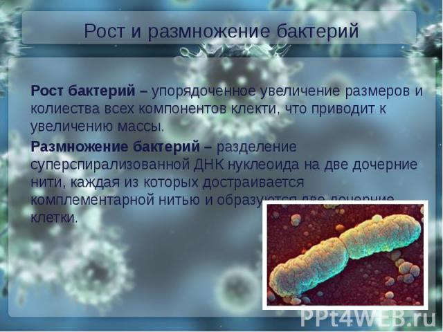 Рост и размножение бактерийРост бактерий – упорядоченное увеличение размеров и колиества всех компонентов клекти, что приводит к увеличению массы.Размножение бактерий – разделение суперспирализованной ДНК нуклеоида на две дочерние нити, каждая из ко…