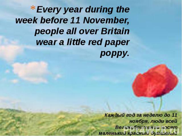 Every year during the week before 11 November, people all over Britain wear a little red paper poppy.