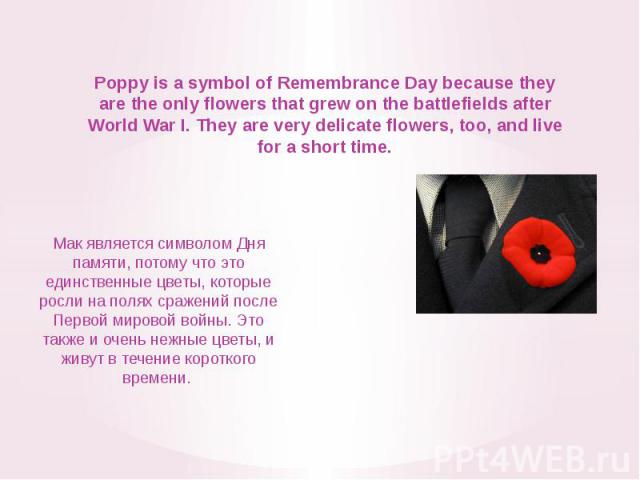 Poppy is a symbol of Remembrance Day because they are the only flowers that grew on the battlefields after World War I. They are very delicate flowers, too, and live for a short time.Мак является символом Дня памяти, потому что это единственные цвет…