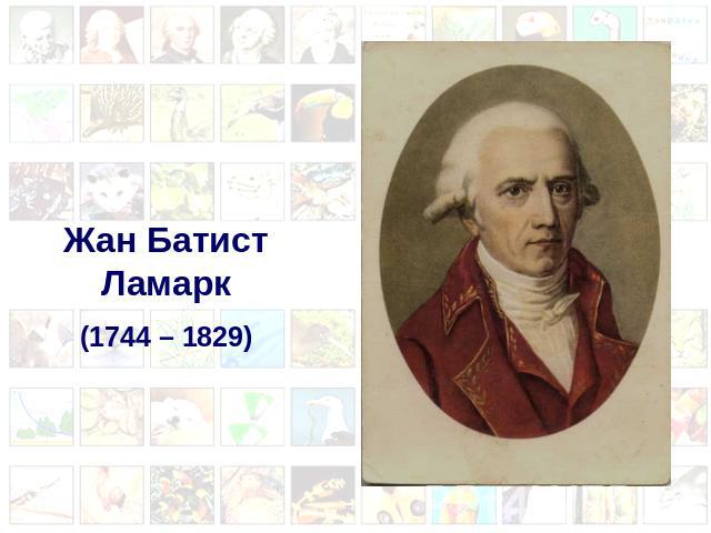 Жан Батист Ламарк (1744 – 1829)