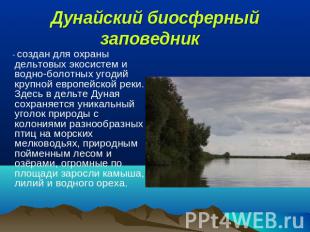 Дунайский биосферный заповедник  - создан для охраны дельтовых экосистем и водно