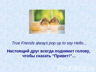 True Friends always pop up to say Hello...   Настоящий друг всегда поднимет голо