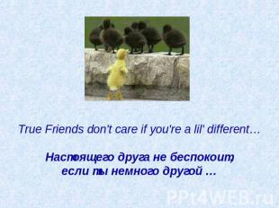 True Friends don't care if you're a lil' different…   Настоящего друга не беспок