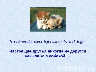 True Friends never fight like cats and dogs...   Настоящие друзья никогда не дер