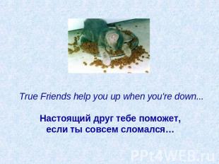True Friends help you up when you're down...   Настоящий друг тебе поможет, если