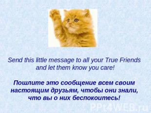 Send this little message to all your True Friends and let them know you care!  