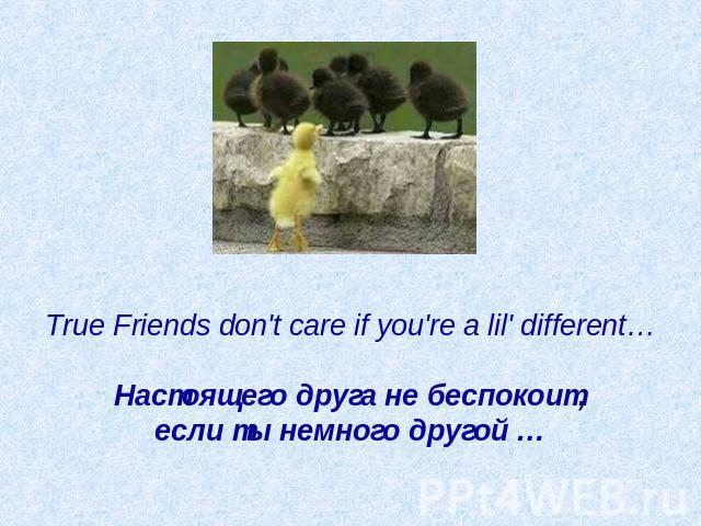 True Friends don't care if you're a lil' different…   Настоящего друга не беспокоит, если ты немного другой …