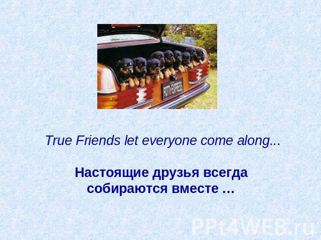 True Friends let everyone come along...   Настоящие друзья всегда собираются вместе …