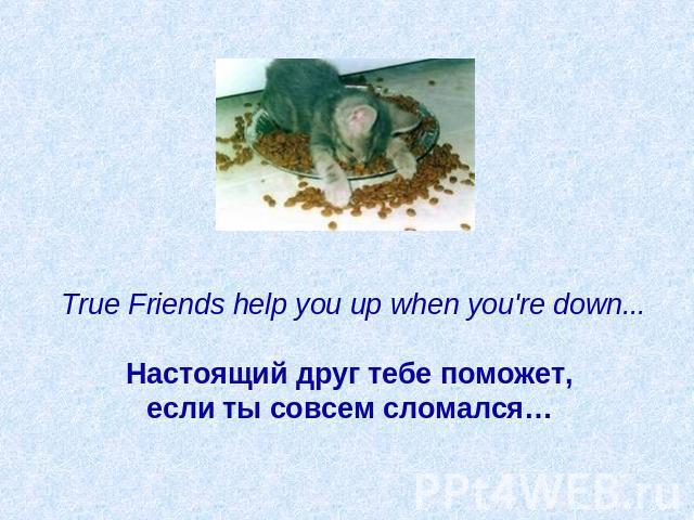 True Friends help you up when you're down...   Настоящий друг тебе поможет, если ты совсем сломался…