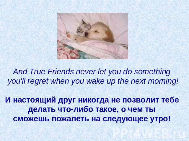 And True Friends never let you do something you'll regret when you wake up the next morning!   И настоящий друг никогда не позволит тебе делать что-либо такое, о чем ты сможешь пожалеть на следующее утро!