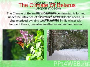 The Climate Of Belarus The Climate of Belarus is moderately continental. Is form