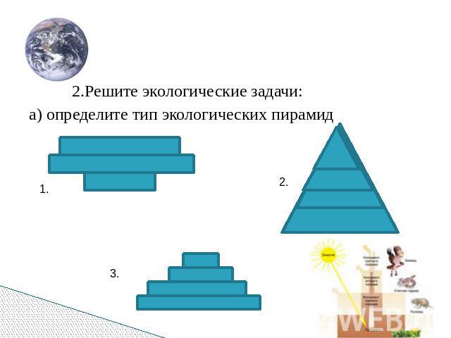 2.Решите экологические задачи: а) определите тип экологических пирамид