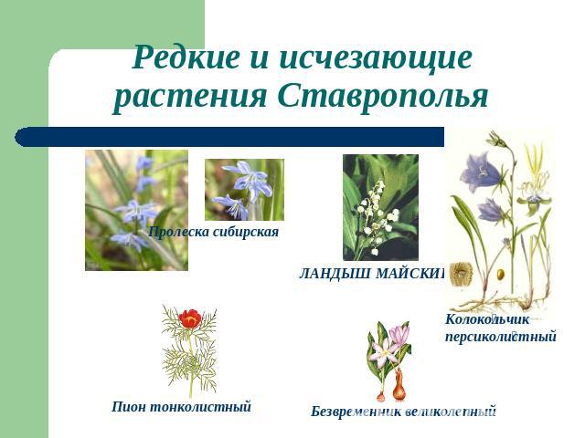 Редкие и исчезающие растения Ставрополья