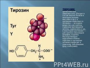 ТИРОЗИН, ароматическая аминокислота. Входит в состав многих белков и пептидов (к