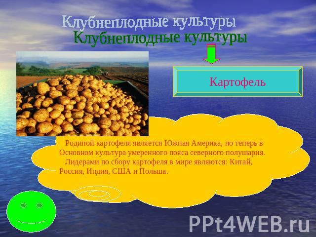 Клубнеплодные культуры Родиной картофеля является Южная Америка, но теперь в Основном культура умеренного пояса северного полушария. Лидерами по сбору картофеля в мире являются: Китай, Россия, Индия, США и Польша.