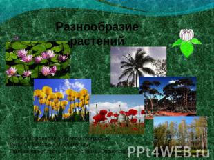 Разнообразие растений Работа выполнена учителем географии Лукиной Татьяной Михай