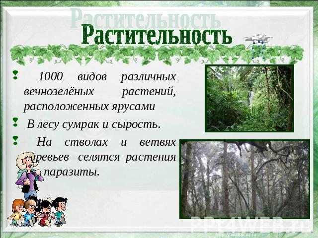 Растительность 1000 видов различных вечнозелёных растений, расположенных ярусами В лесу сумрак и сырость. На стволах и ветвях деревьев селятся растения –паразиты.