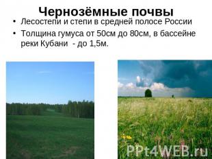 Чернозёмные почвы Лесостепи и степи в средней полосе России Толщина гумуса от 50