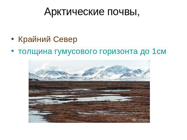 Арктические почвы, Крайний Север толщина гумусового горизонта до 1см