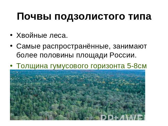 Почвы подзолистого типа Хвойные леса. Самые распространённые, занимают более половины площади России. Толщина гумусового горизонта 5-8см