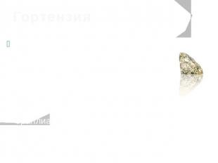 Гортензия Уникальный бриллиант персикового цвета весом 20 каратов. Назван в чест