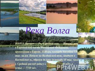 Река Волга ВОЛГА (древнее — Ра, в средние века — Итиль), река в Европейской част