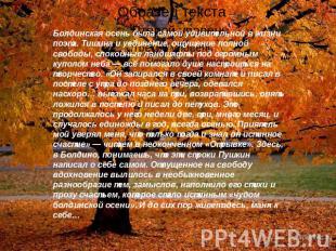 Болдинская осень была самой удивительной в жизни поэта. Тишина и уединение, ощущ