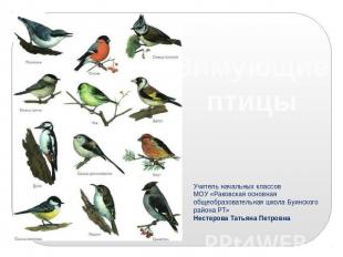 Зимующие птицы Учитель начальных классов МОУ «Раковская основная общеобразовател