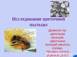 Исследование цветочной пыльцы Дымился луг цветочною пыльцой, Цветочною пыльцой у