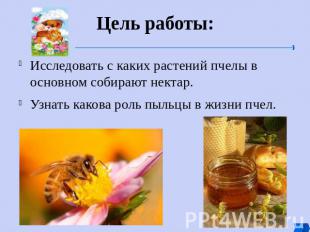 Цель работы: Исследовать с каких растений пчелы в основном собирают нектар. Узна