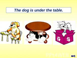 The dog is under the table.