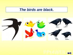 The birds are black.