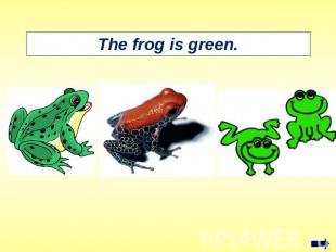 The frog is green.