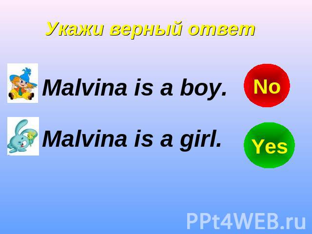 Укажи верный ответ Malvina is a boy. Malvina is a girl.