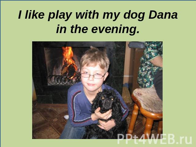 I like play with my dog Dana in the evening.